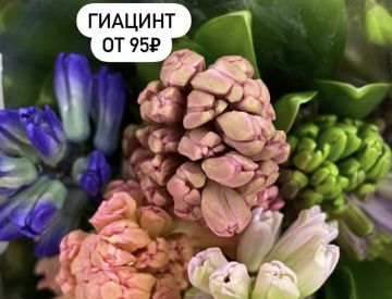 Посмотрим и на отдел Срезанных цветов!